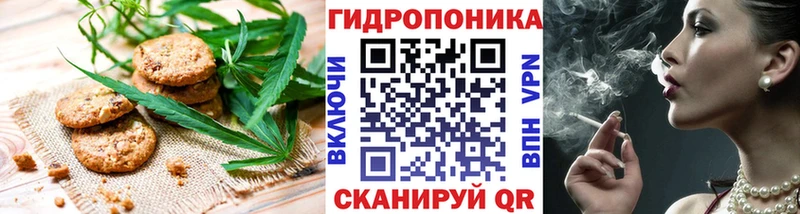 omg ТОР  наркота  Любань  Печенье с ТГК конопля 