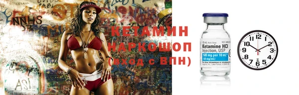 гидра Арсеньев