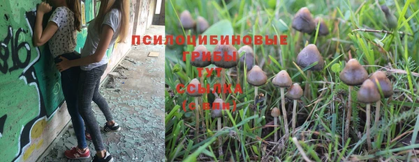 гидра Арсеньев