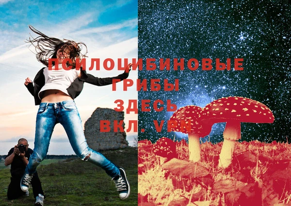 MESCALINE Аркадак
