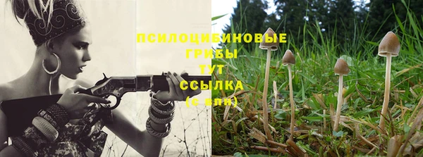 гидра Арсеньев