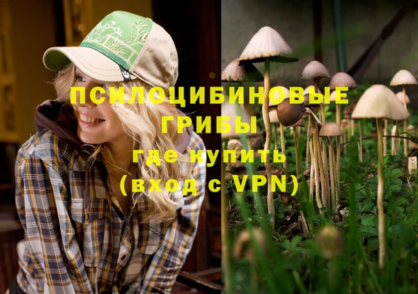 mdpv Армянск