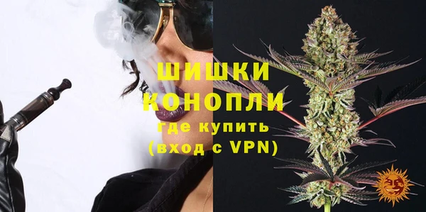 гидра Арсеньев